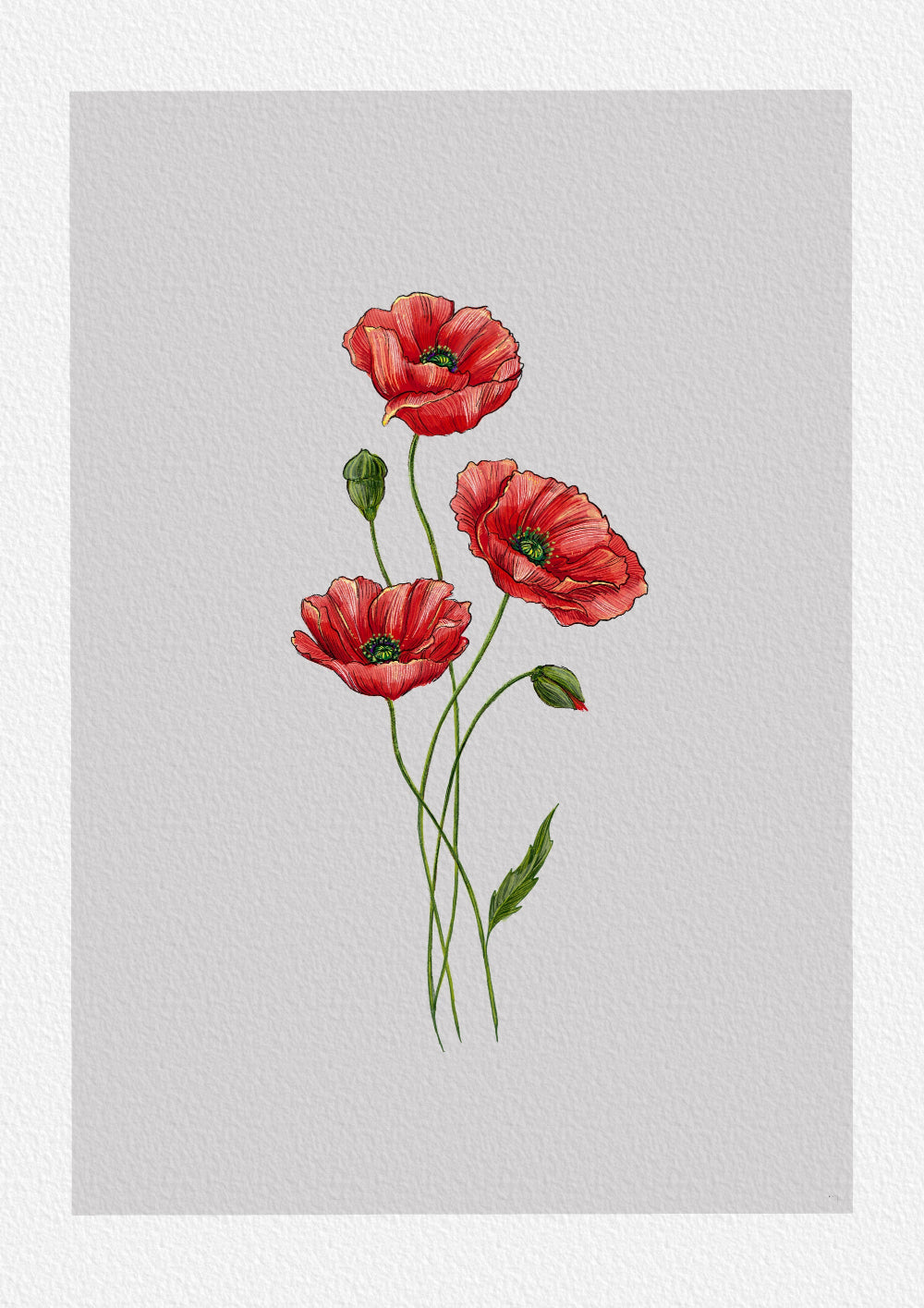 Flower Poster - No Text