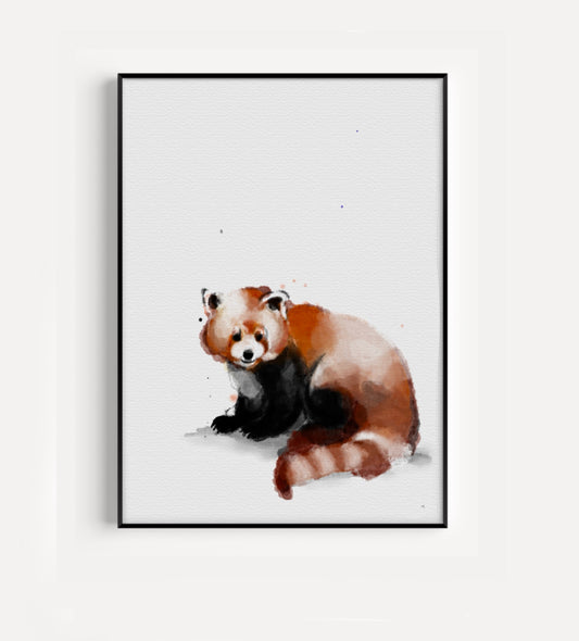 Red panda