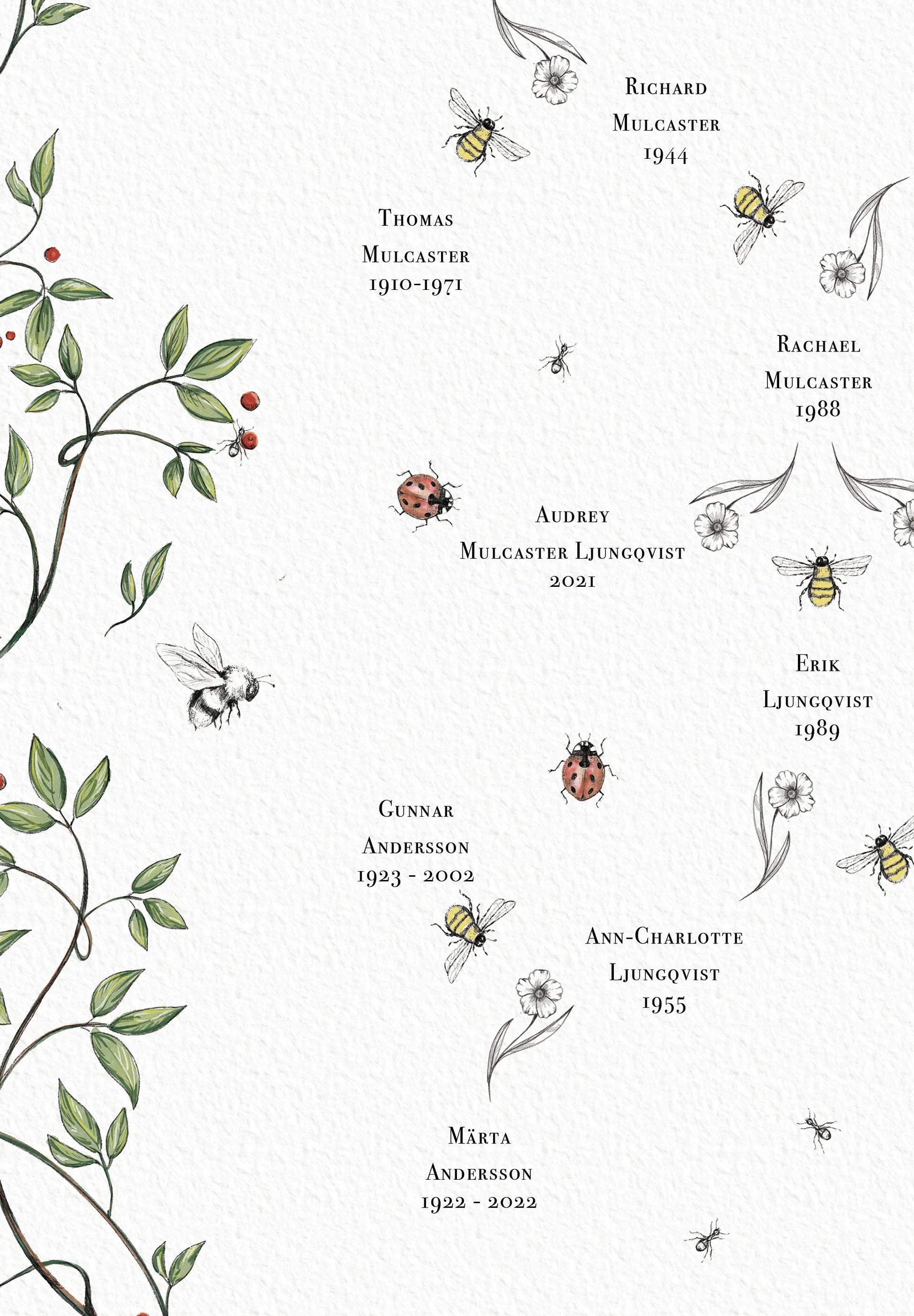 Colourful children’s family tree wall art featuring bugs and leafy vines