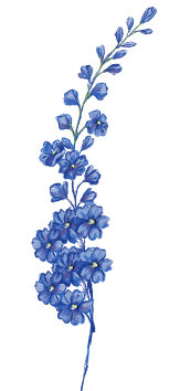 July birth flower – delphinium, hand-painted